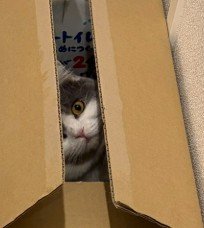 こちらを見つめているお顔もかわいい&hellip;
