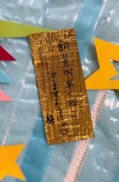 投稿動画のワンシーン