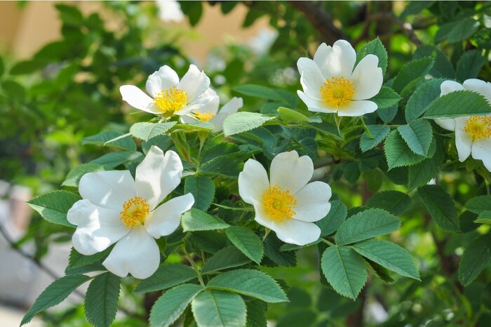 s74/Shutterstock.com