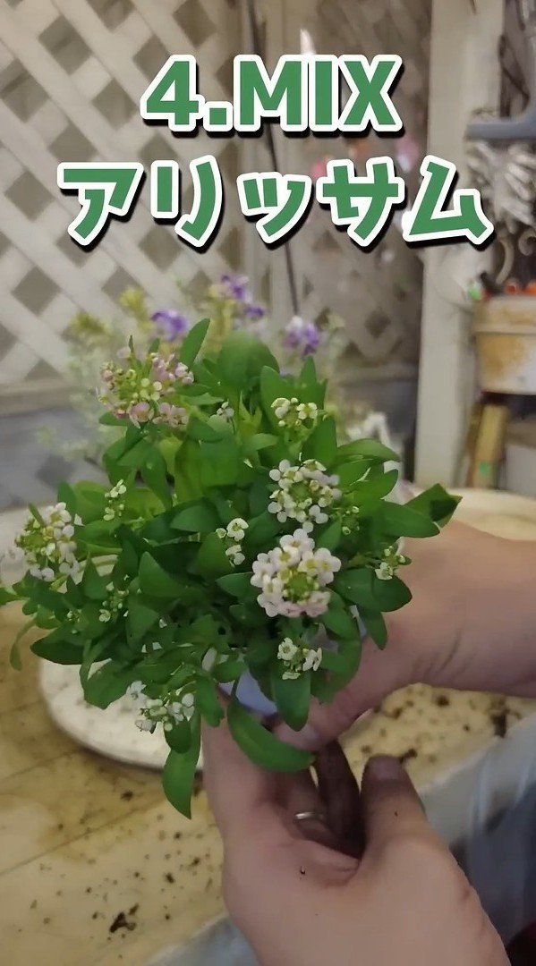 出所：@petit_fleur