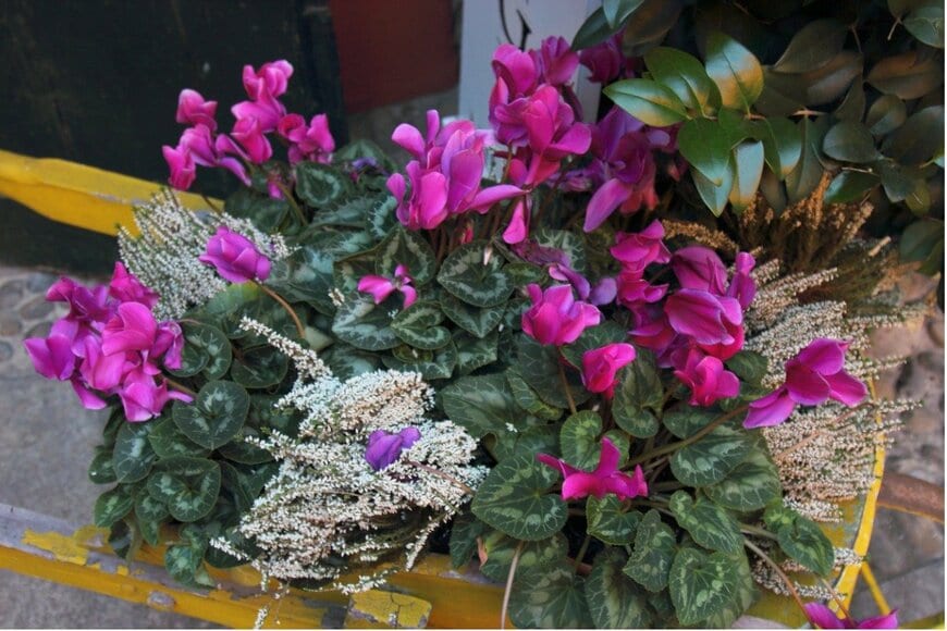 seventeen1975/istockphoto.com