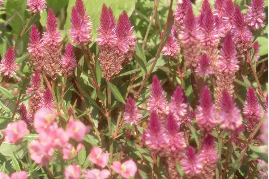 Nyon/istockphoto.com