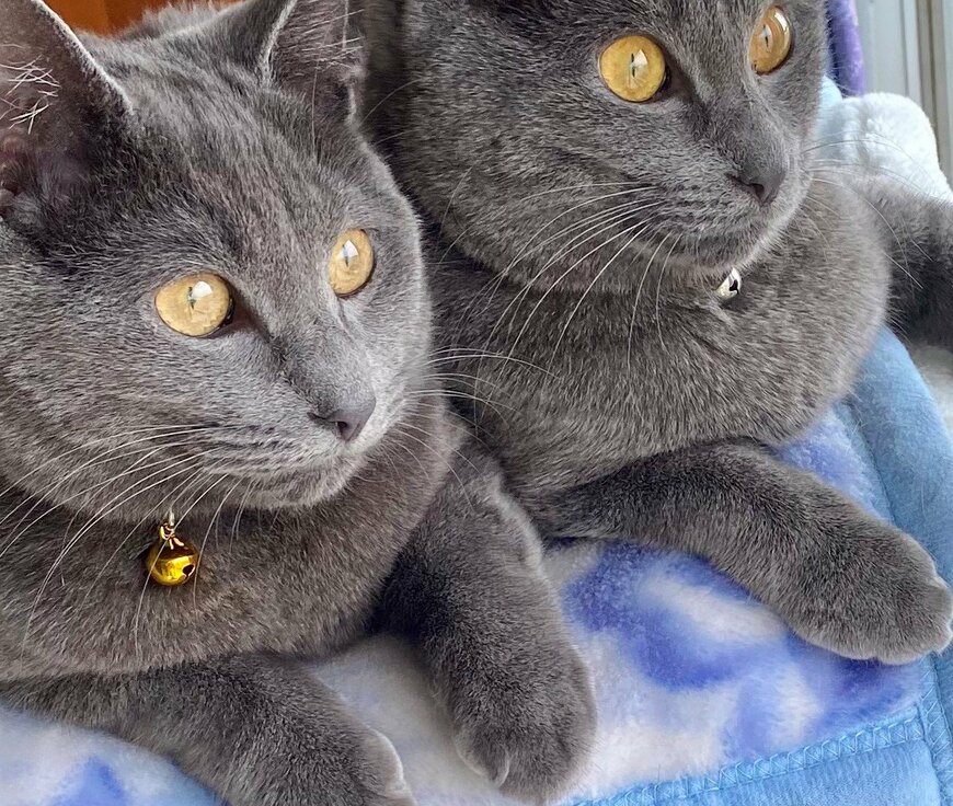 出所：@luna7taka9