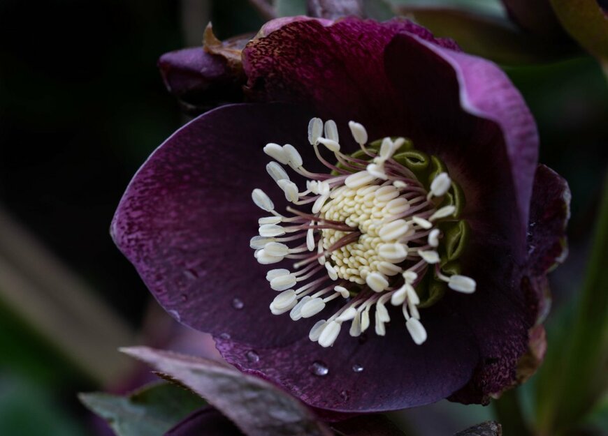 Alex Avocado/shutterstock.com