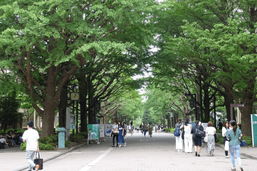 出所：TokyoVideoStock/shutterstock.com