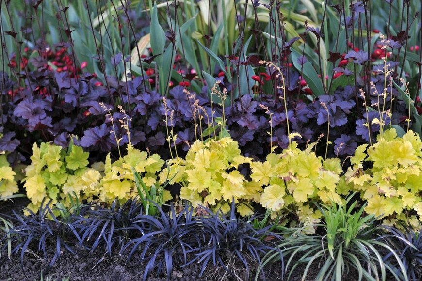 Sergey V Kalyakin/shutterstock.com