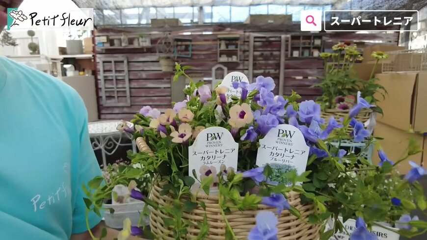 出所：@petit_fleur