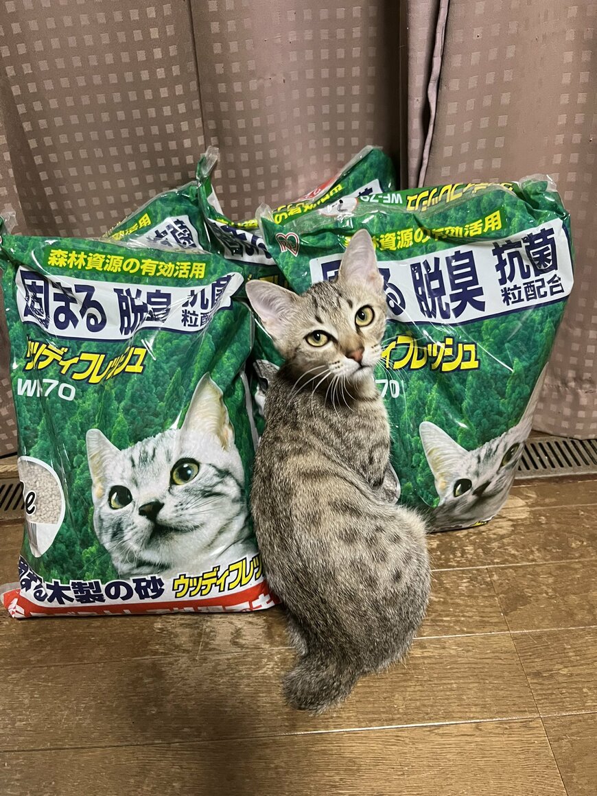 出所：@8rjXhLaRHFwK9l2