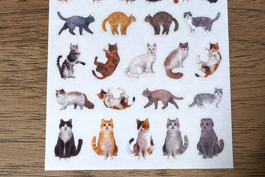 筆者撮影（セリア、フィルムダイカットシール ねこ柄 58片）