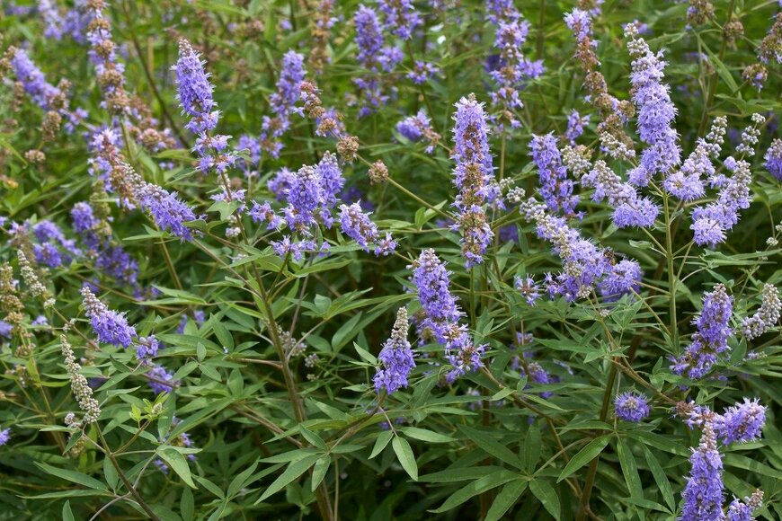 seven75/istockphoto.com