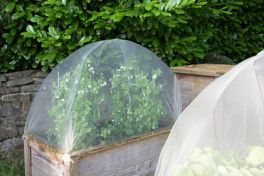 Julia Rauhe/Shutterstock.com