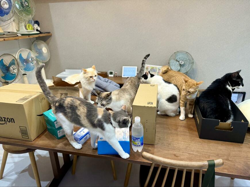 出所：@omochi_nam01