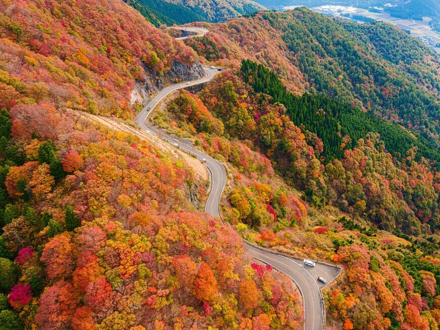 tvcuong8892/shutterstock.com