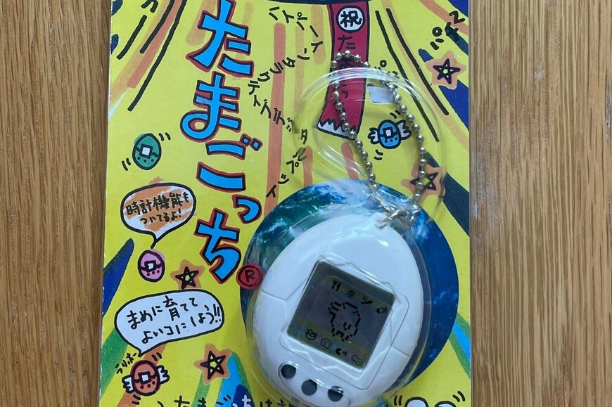 「頼んだやつ」と「親が買ってきたやつ」　平成レトロ玩具のあるあるがあまりにも懐かしすぎる