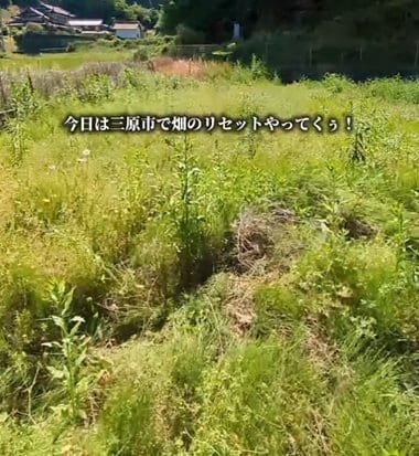 【草刈り】雑草が生い茂った〈広大な畑〉をたった1日で〈スッキリ空間〉へとリセット！「きれいになりましたね」など称賛の声続々
