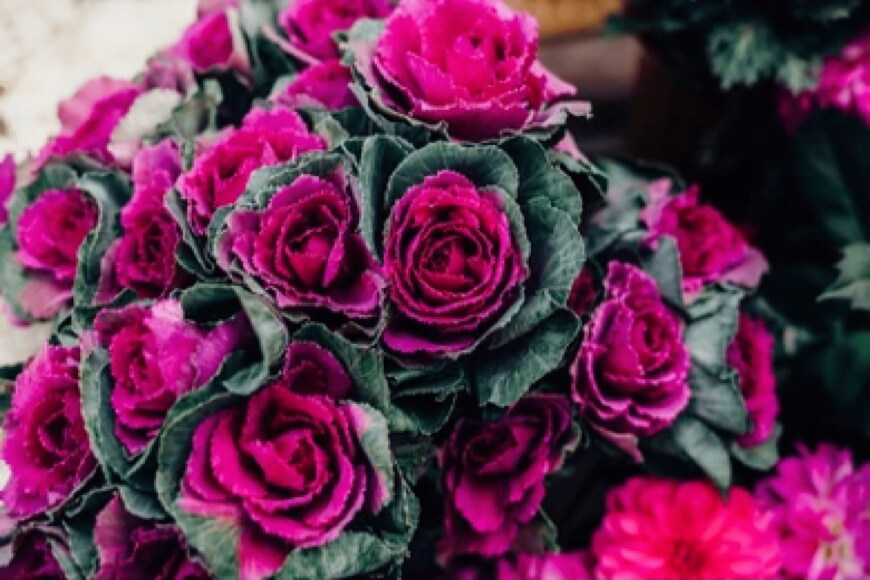                                                              Kseniia Perminova/shutterstock.com