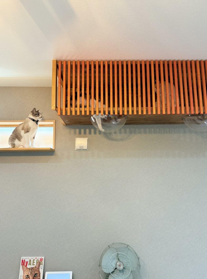 出所：@omochi_nam01