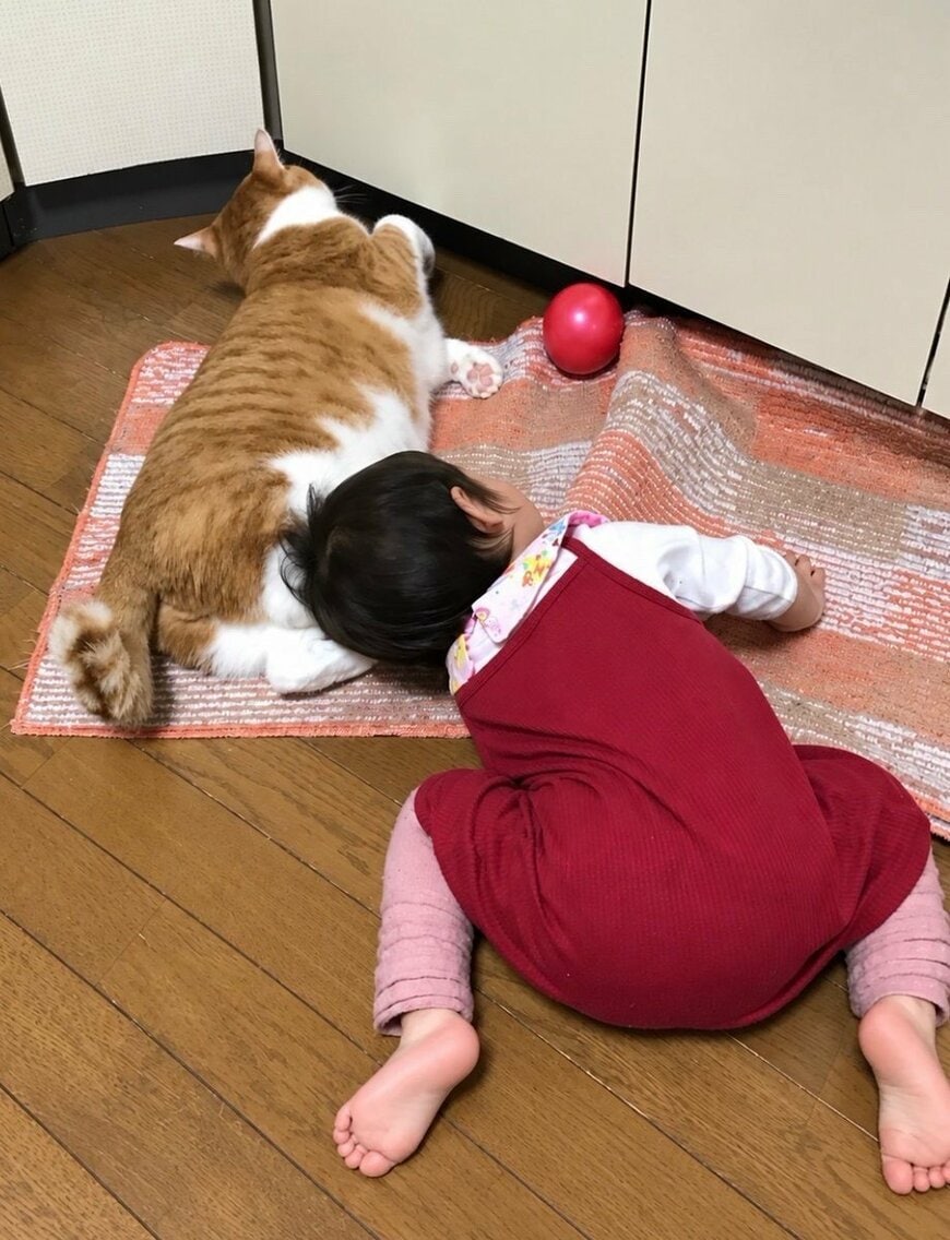 小さな赤ちゃんに枕にされても、うつ伏せのまま寝続ける猫！キュートな姿にときめきます