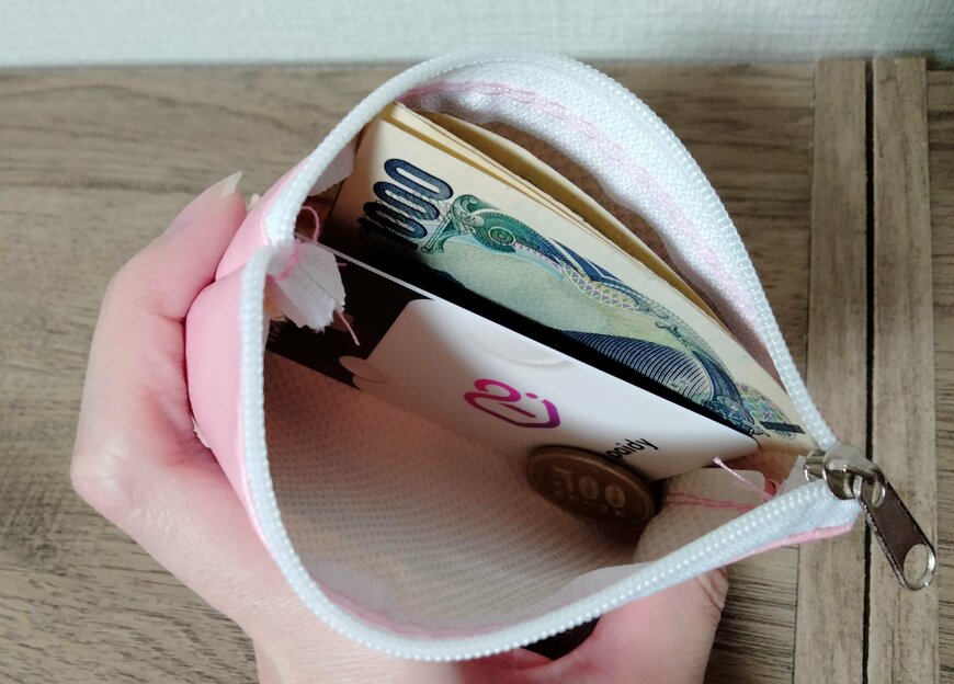 筆者撮影（セリア、mofusand コインパース）