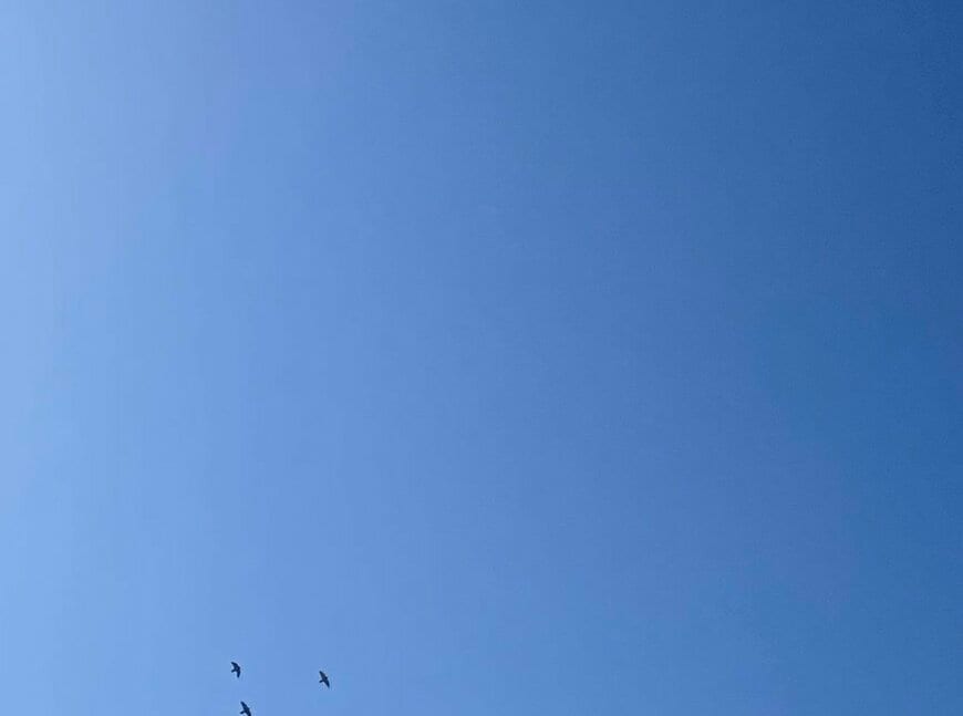 出所：@wavemomchan