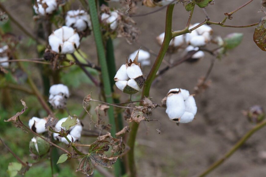 undefined undefined/istockphoto.com