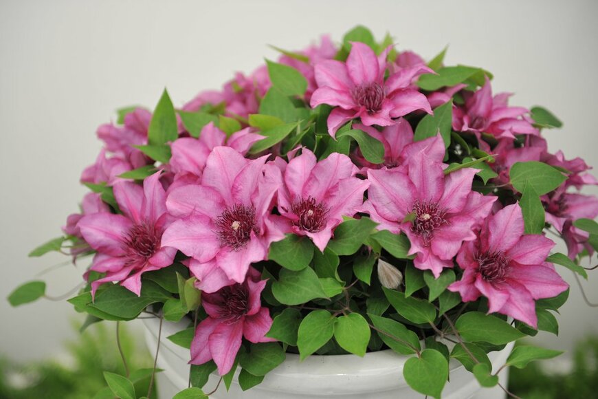 Sergey V Kalyakin/Shutterstock.com