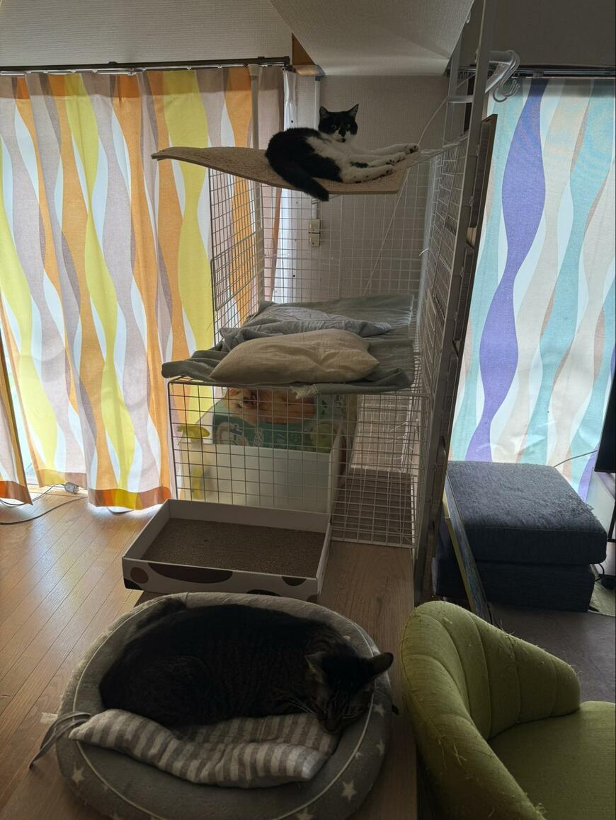 出所：@00shitemita