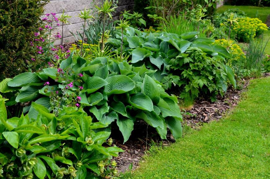 Beekeepx/shutterstock.com