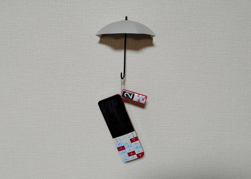 筆者撮影（セリア、インテリアフックアンブレラ）