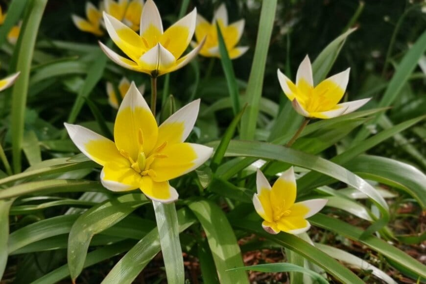 Wirestock Creators/shutterstock.com