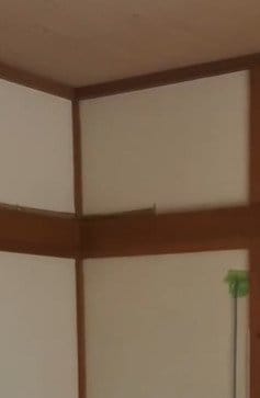 出所：@alpaca.diy