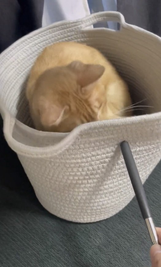 出所：＠Teagle_Noir