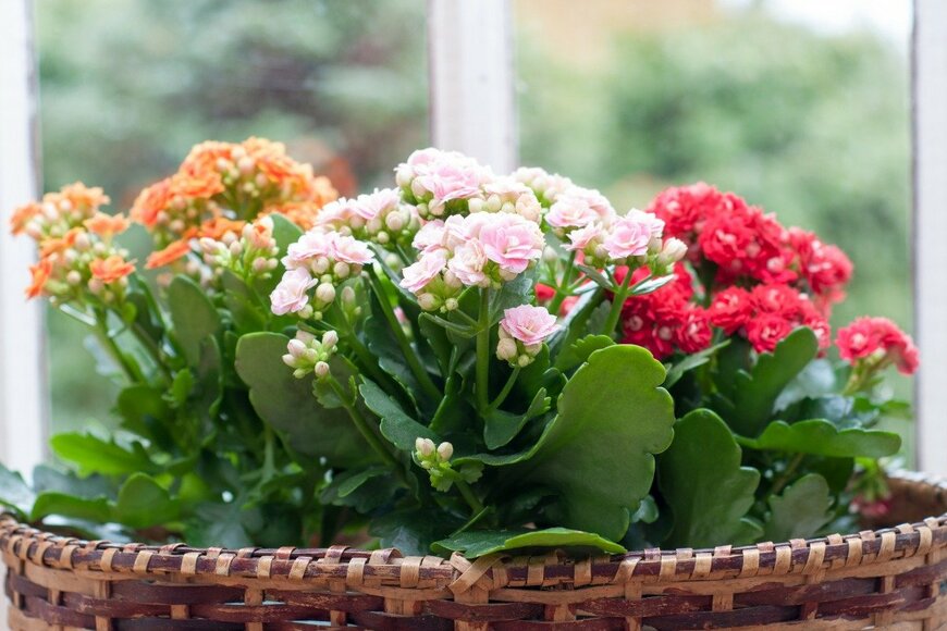 artursfoto/istockphoto.com