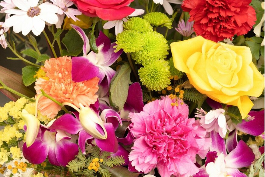 【ガーデニング】新年に飾りたい花10選。生け花＆アレンジメントが華やぐ！