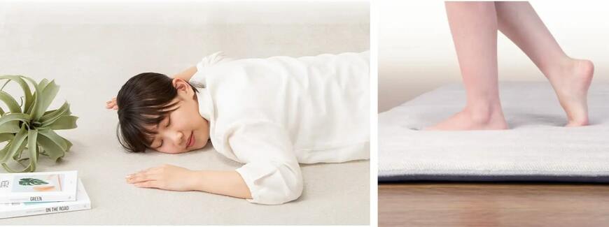 ニトリの厚さ30mmウレタン入りラグに新作が登場