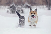 厚生年金の月平均「約14万円」受給できる人の年収は意外に高額？試算してみた