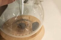 ニトリで販売されている「砂時計」が話題　いつまでも見ていられる砂の落ち方に「めっちゃ欲しい」