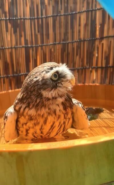 投稿動画のワンシーン