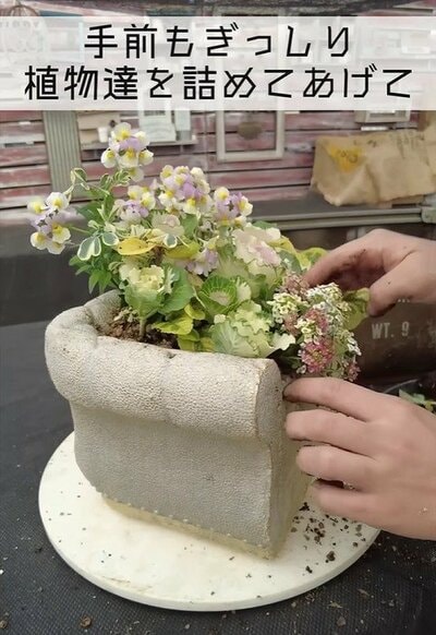 プチ・フルール（@petit_fleur）さん投稿動画のキャプチャ 