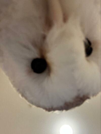 投稿動画のワンシーン