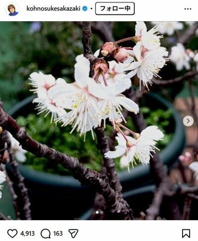 坂崎幸之助のInstagram投稿