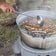 山形県で開催された「いも煮まつり」　身も心も温まりそうな郷土料理が美味しそう