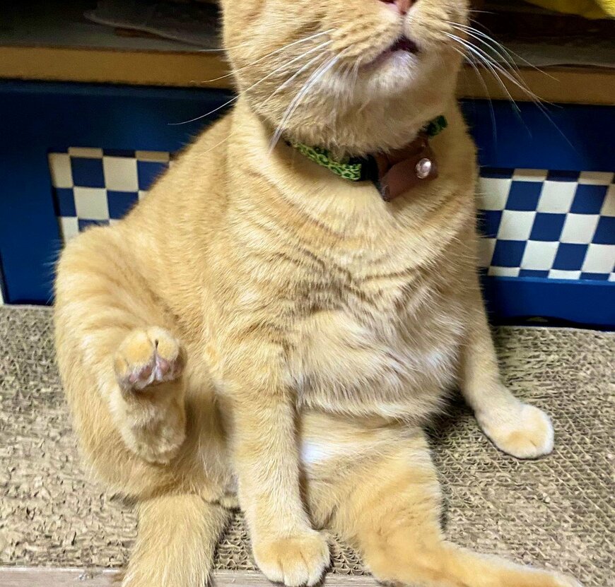 出所：@luna7taka9