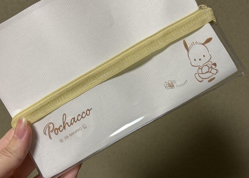 筆者撮影（ダイソー、スリムペンケース　ポチャッコ）