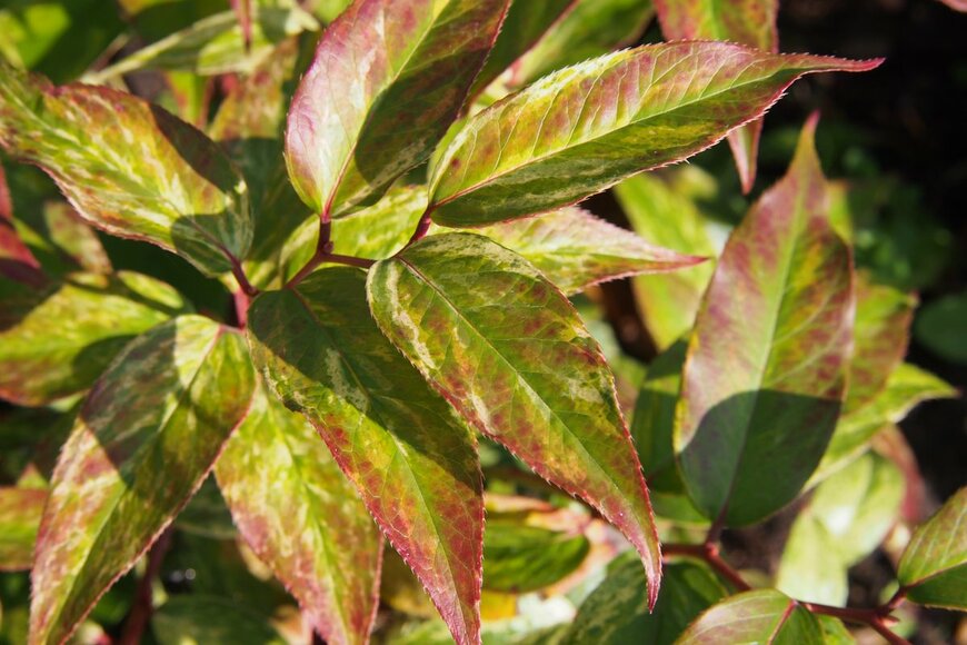 Anna Gratys/istockphoto.com