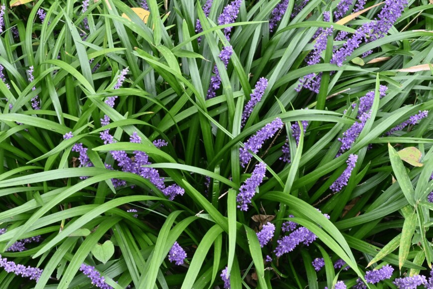 undefined undefined/istockphoto.com