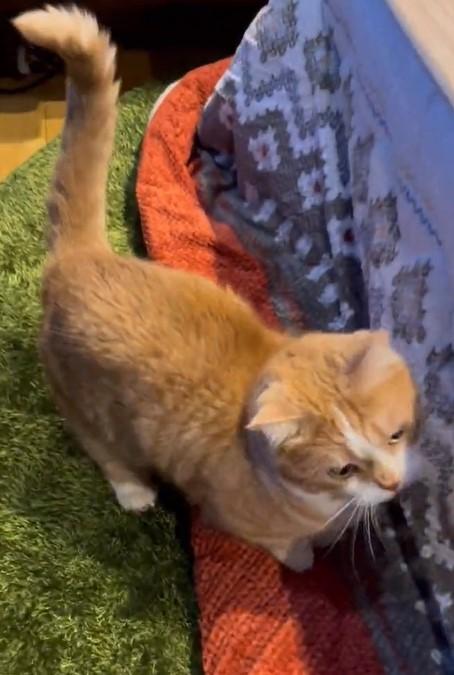 出所：@kotaro_0315