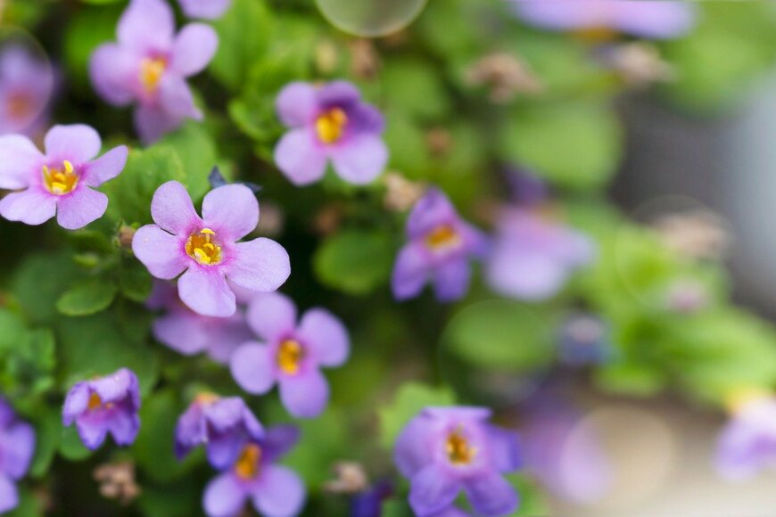 Yevheniya Tuzinska/istockphoto.com