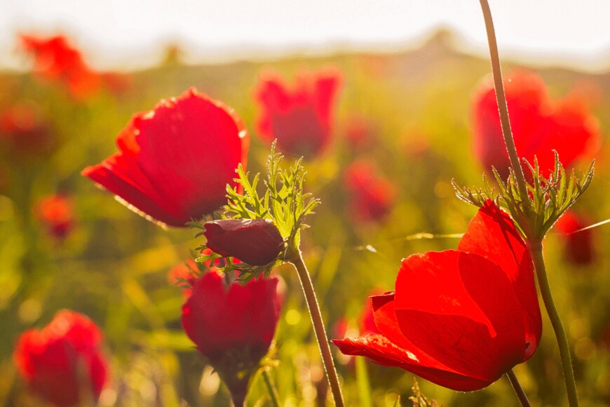 EAZN/istockphoto.com