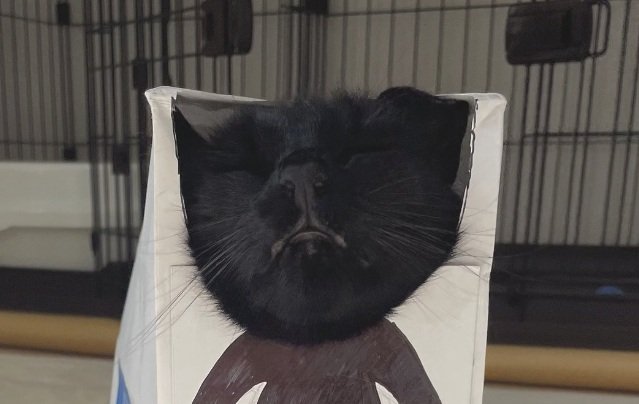 出所：＠Teagle_Noir